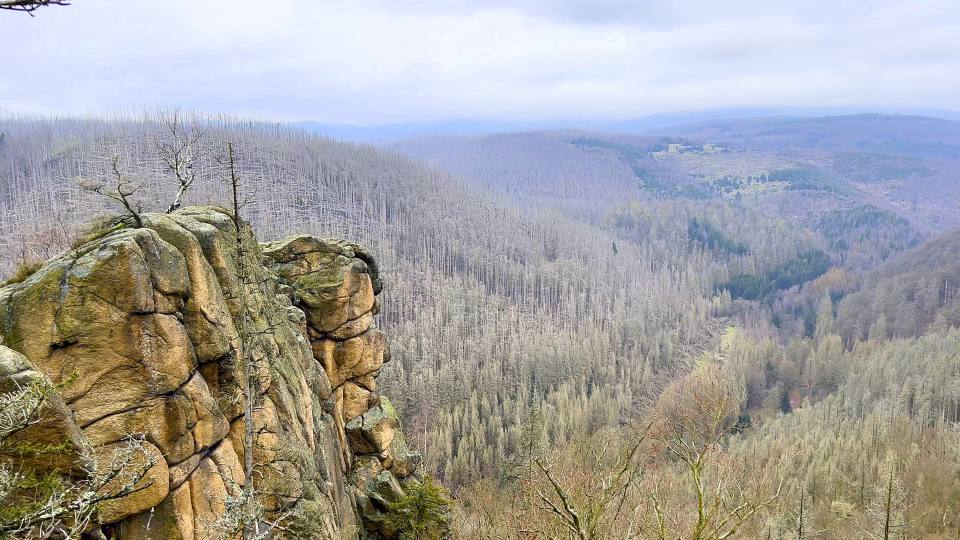 Фото: Гранитная скала Rabenklippe и серебряный лес на фоне