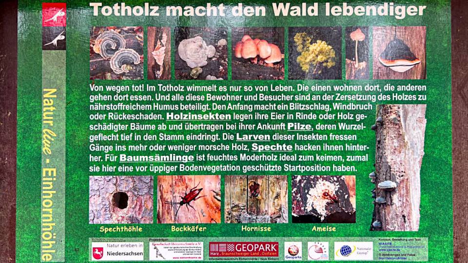 Фото: Информационный плакат о грибах и насекомых Гарца