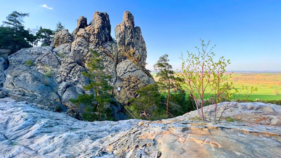Фото: Растения на песчаниковой скале в Гарце, Германия