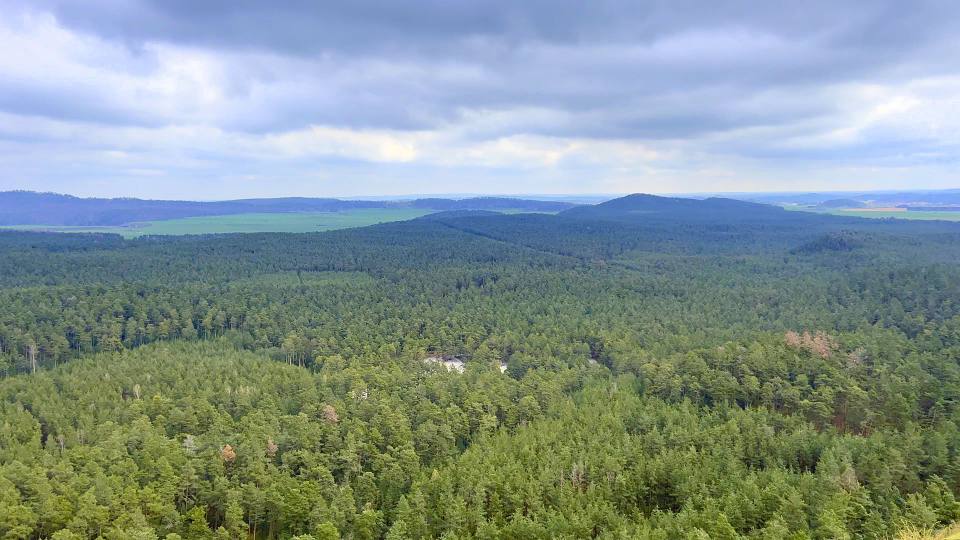Фото: Вид сверху на лес Heers bei Blankenburg
