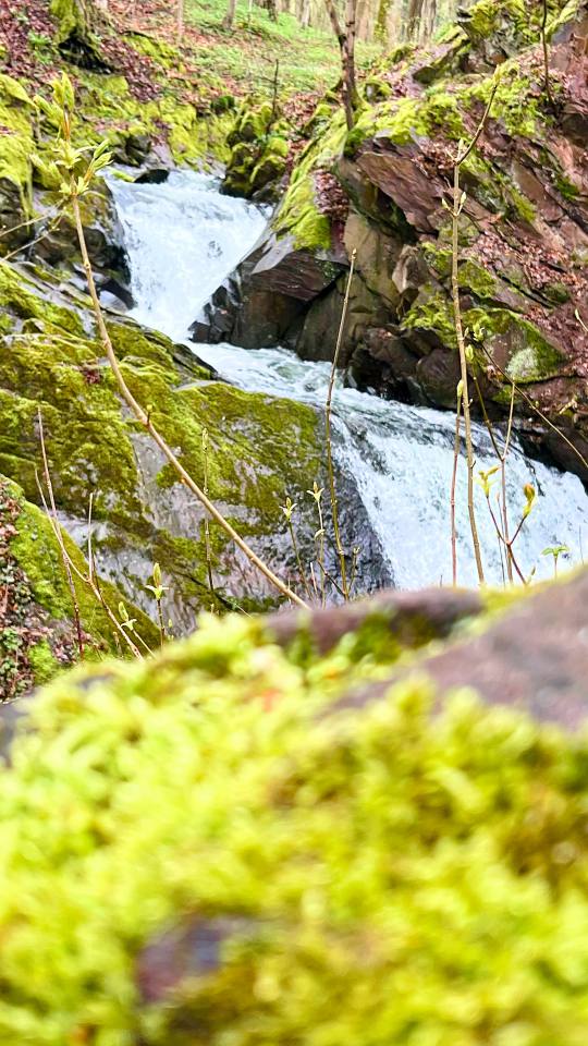 Фото: Водопад Лонау, вид вблизи, Lonauer Wasserfall