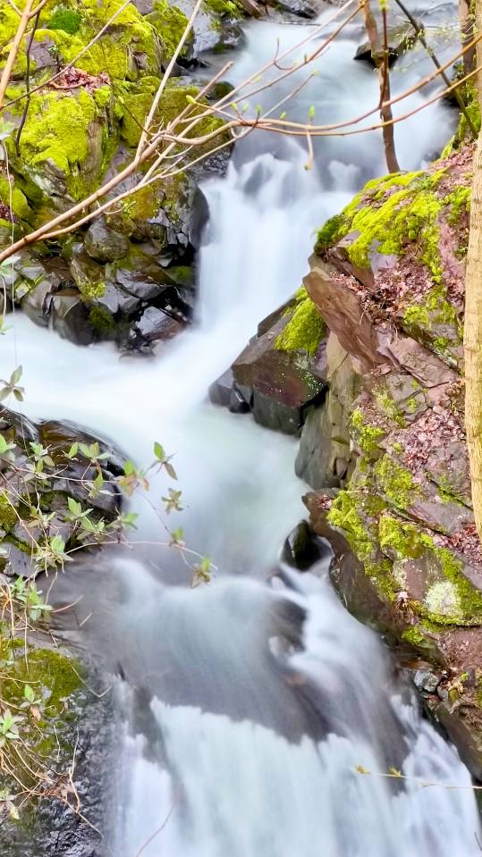 Фото: Водопад Лонау (длительная выдержка), Lonauer Wasserfall
