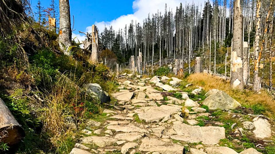Фото: Каменистый путь к вершине Броккена