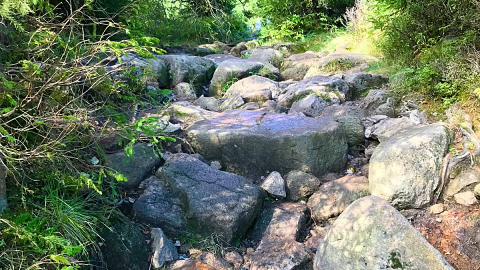 Фото: Большие камни на сложном туристическом пути Броккена