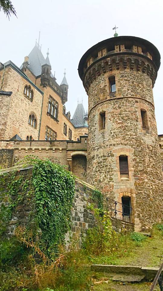 Фото: Замок Вернигероде, башня, Schloß Wernigerode