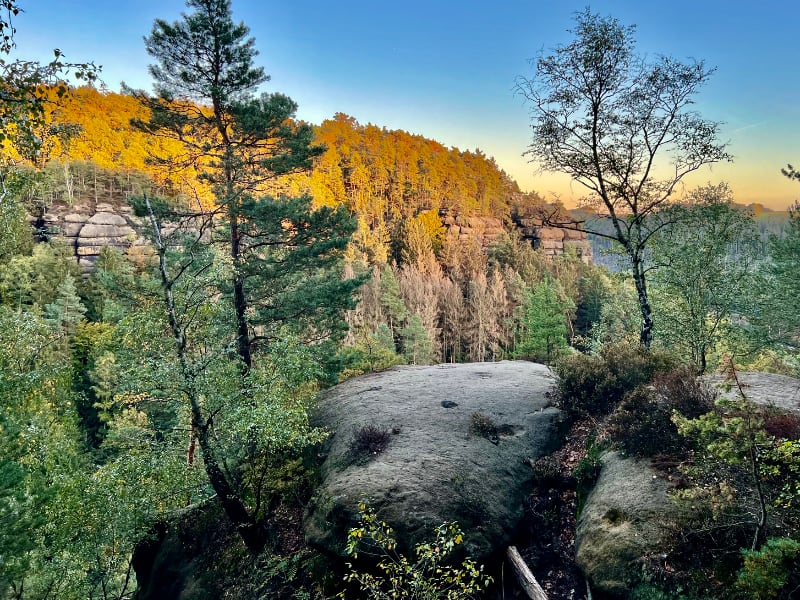 Фото: Флора и фауна Эльбских песчаниковых гор: карликовые деревья, черника, кустарники на скалах