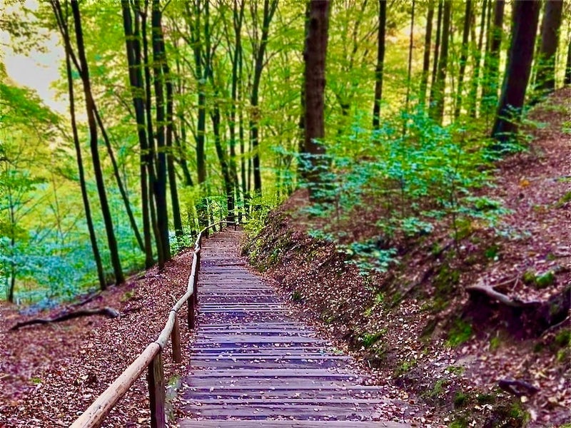 Фото: Лестницы на пешеходных тропах в Саксонской Швейцарии