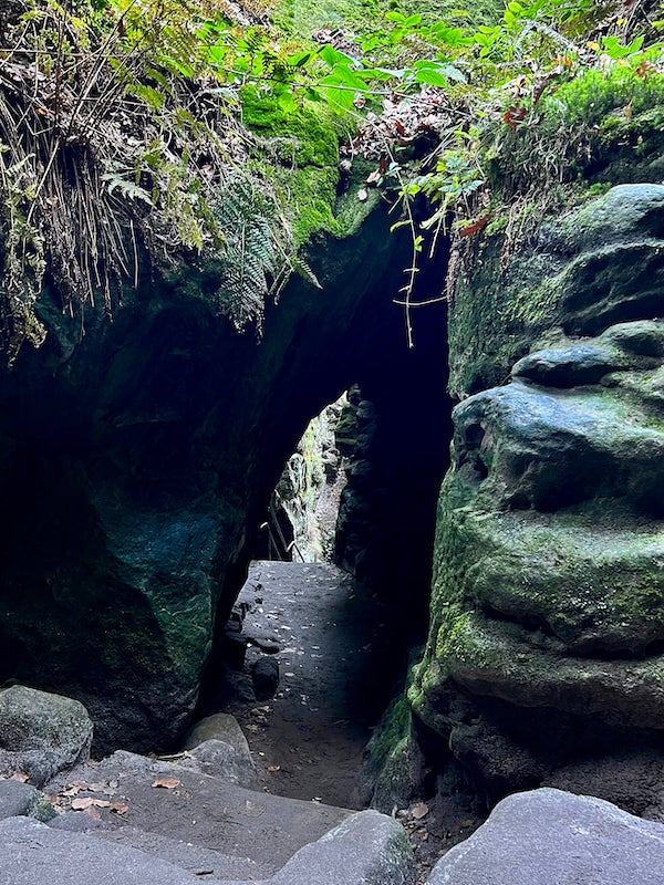 Фото: Каменная арка в ущелье Шведские дыры, Саксонской Швейцарии