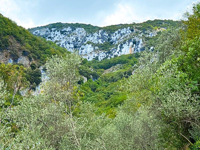 Фото: Горы Лигурии и растения на горах